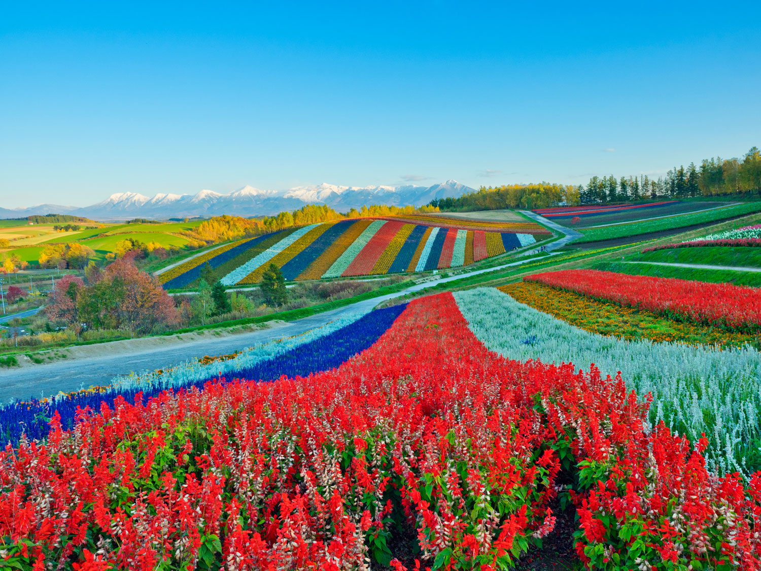 The most enticing Landscapes of the world - Myles Car Rental & Subscription